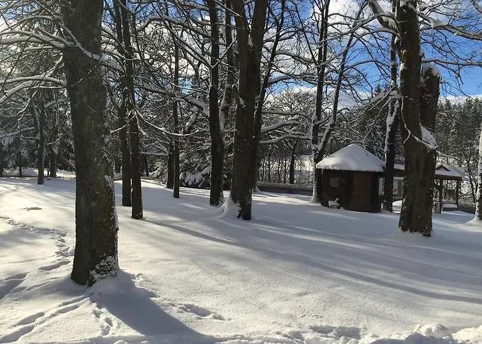 Restaurant Hohe Tanne *